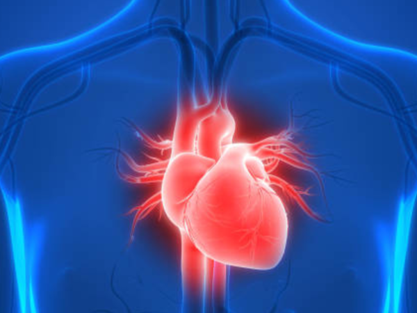 Staying hydrated is important for a healthy heart