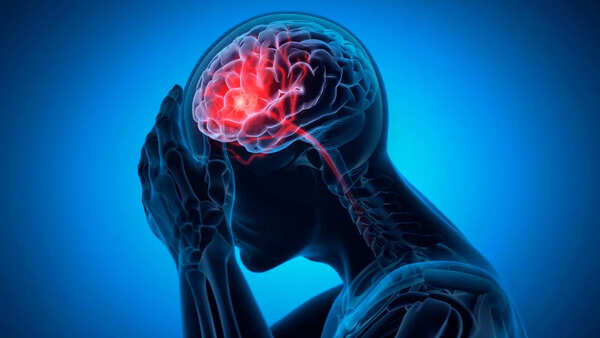 Illustration of the brain region associated with moral decision-making.