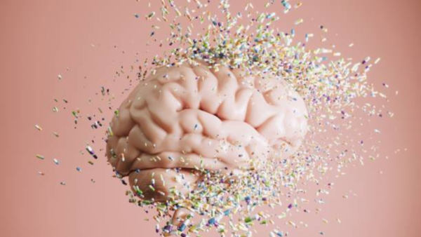 Brain scan highlighting the uncinate fasciculus.
